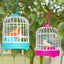 Interactive Voice-Activated Bird Cage Toy - Recording & Sound Effects with Light