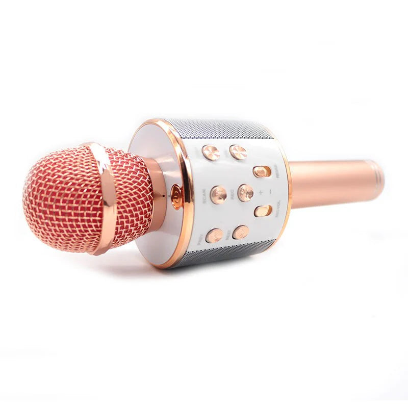 Wireless HiFi Microphone - Bluetooth Speaker for Kids Main image