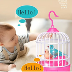 Interactive Voice-Activated Bird Cage Toy - Recording & Sound Effects with Light