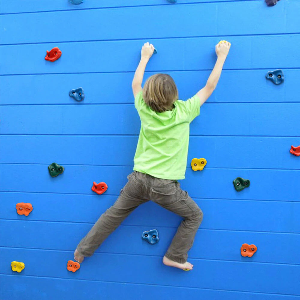 Kids Climbing Holds Set - 10 Pieces Rock Wall Grips with Screws for Indoor/Outdoor