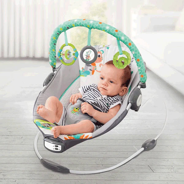 Mastela Comfort Baby Bouncer & Vibrator Hover Image