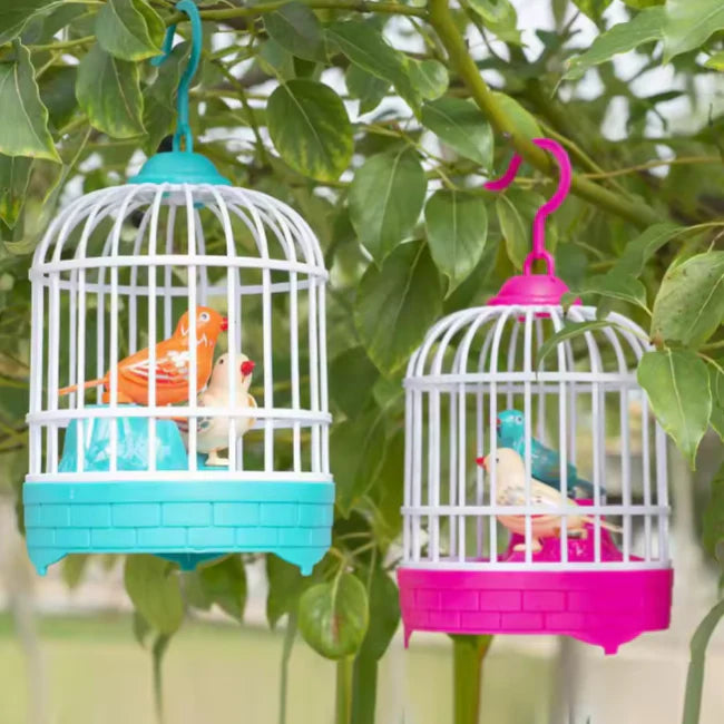 Interactive Voice-Activated Bird Cage Toy - Recording & Sound Effects with Light