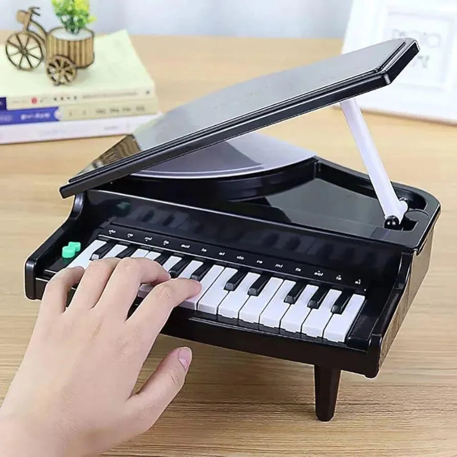25 Key Electronic Piano Keyboard - Portable Kids Piano with Lights & Sound